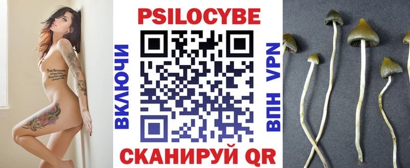 Псилоцибиновые грибы прущие грибы  Кубинка 